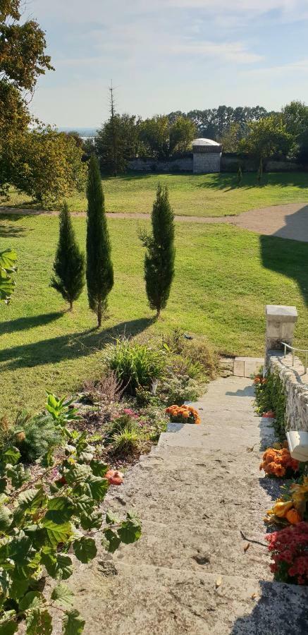 Domaine De Bourgville Monts-sur-Guesnes Екстериор снимка